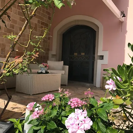 Old Olive Press Sea And Mountain