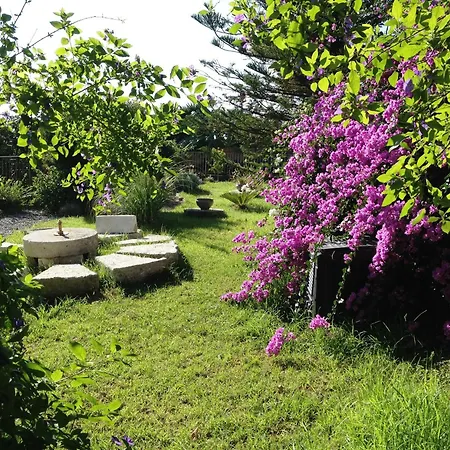 Old Olive Press Sea And Mountain *