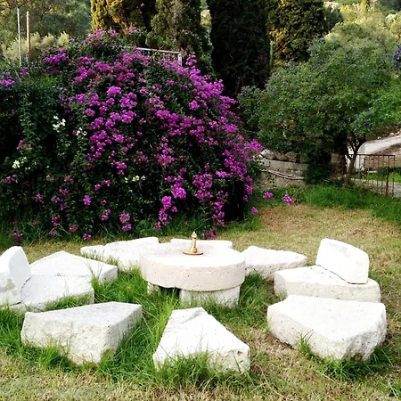 Old Olive Press Sea And Mountain Villa